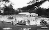 McKown Grove
          pool 1958 thumbnail image