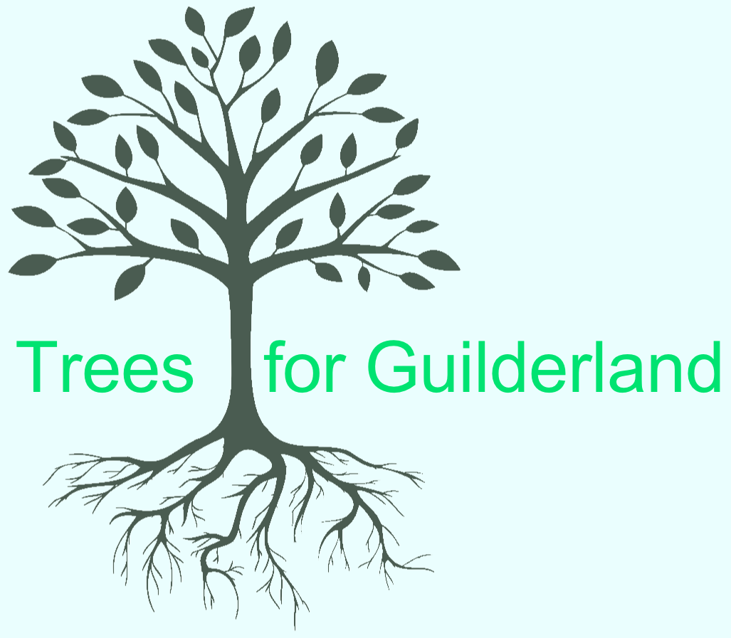 Trees for Guilderland Logo