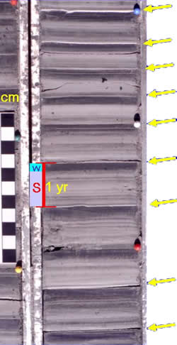 photo of
      varved silt and clay layers showing annual alternation