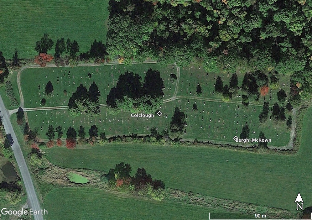 location of Catherine McKown
      and children graves in Carlisle Rural Cemetery